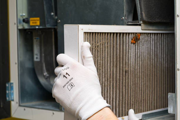 Best Air Duct Cleaning Near Me  in Paxton, IL